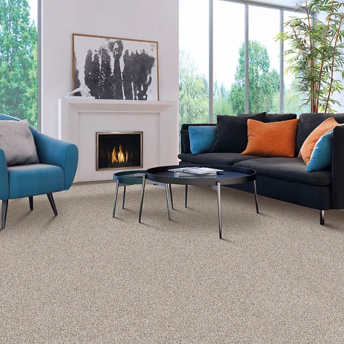 Best carpet for your home